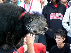 辛辛那提大学新生